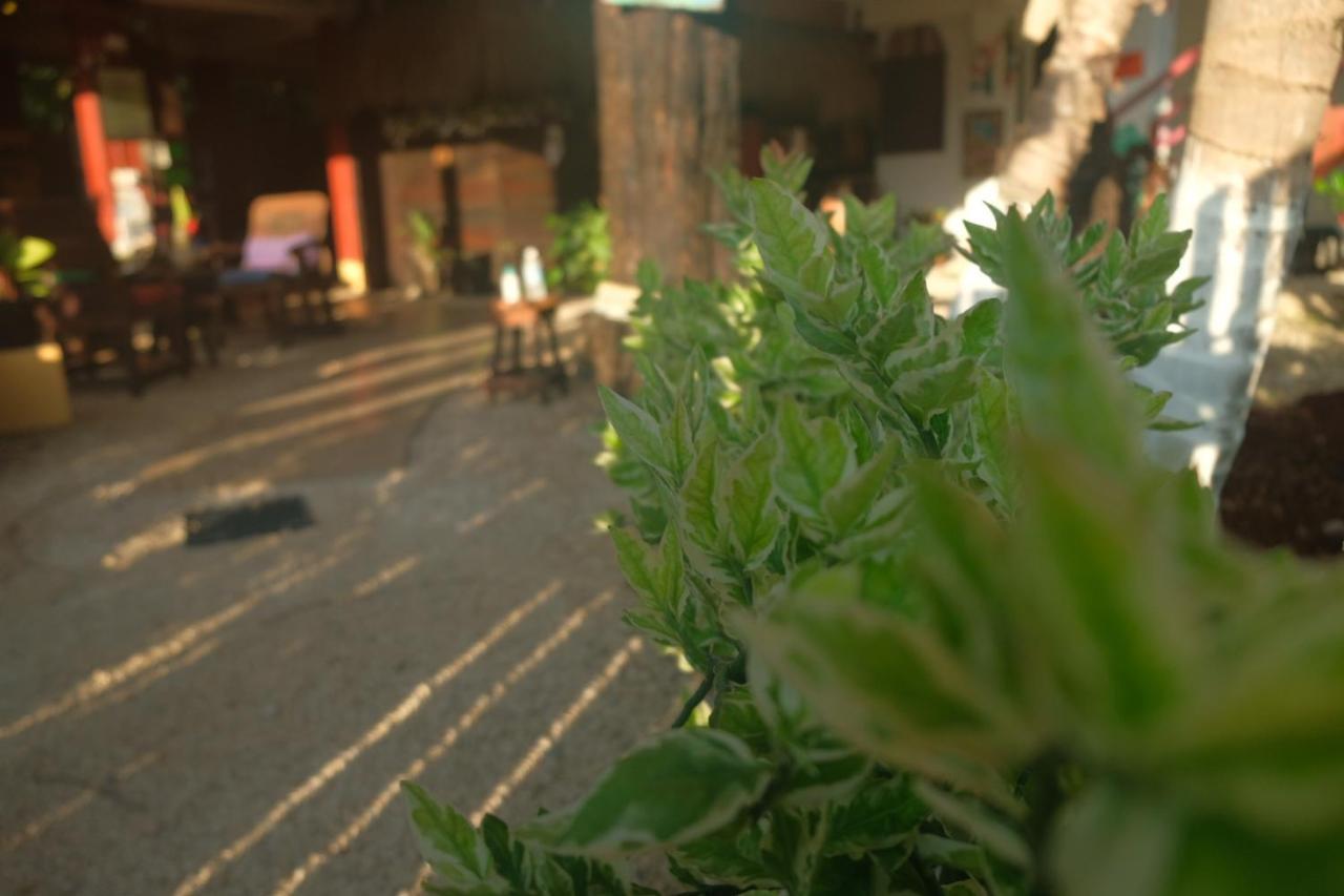 Near Lake Hostal Bacalar Exterior foto